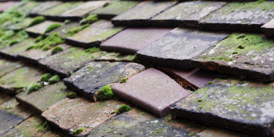 Hampstead Norreys roof repair costs